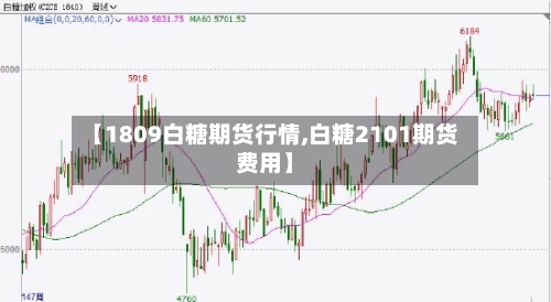 【1809白糖期货行情,白糖2101期货费用】