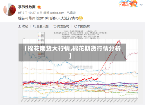 【棉花期货大行情,棉花期货行情分析】