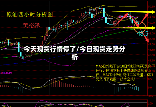 今天现货行情停了/今日现货走势分析-第2张图片