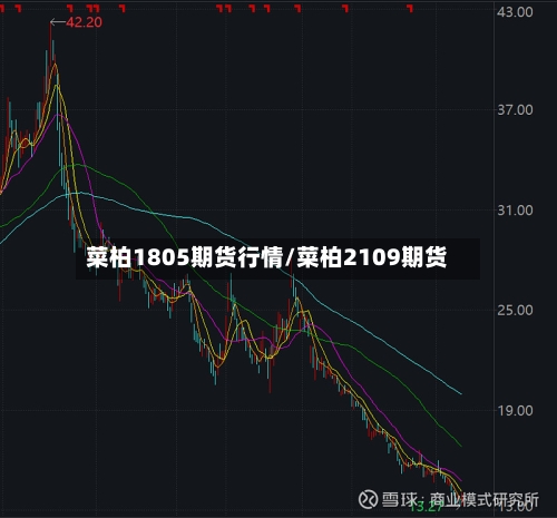 菜柏1805期货行情/菜柏2109期货-第3张图片
