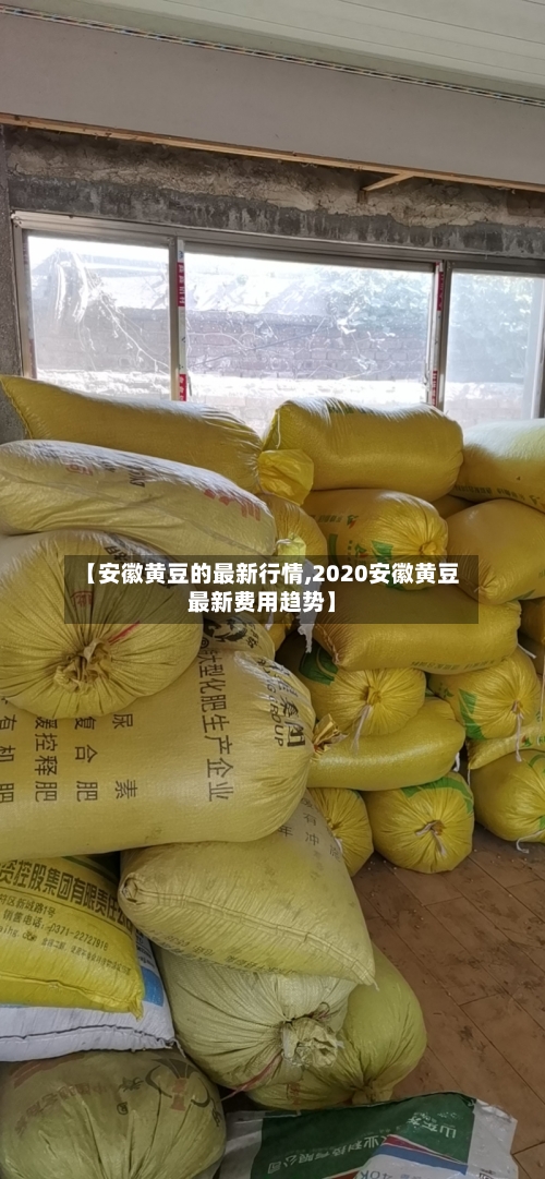 【安徽黄豆的最新行情,2020安徽黄豆最新费用趋势】
