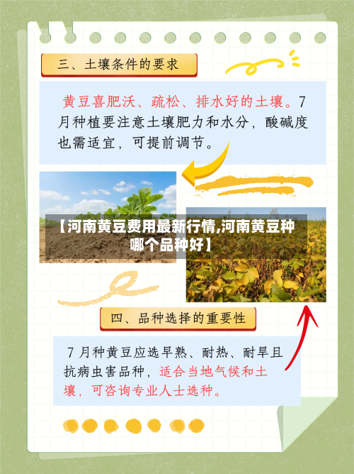 【河南黄豆费用最新行情,河南黄豆种哪个品种好】-第2张图片