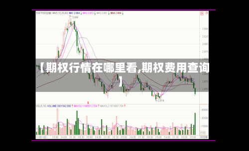 【期权行情在哪里看,期权费用查询】