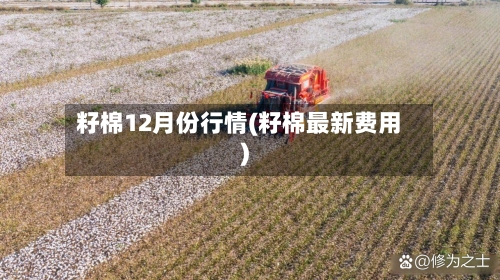 籽棉12月份行情(籽棉最新费用)-第2张图片