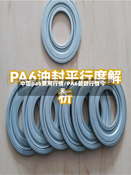 中国pa6费用行情/PA6最新行情今天