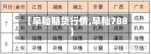 【早籼期货行情,早籼788】