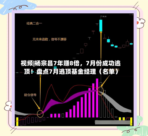 视频|杨宗昌7年赚8倍，7月份成功逃顶！盘点7月逃顶基金经理（名单）-第2张图片