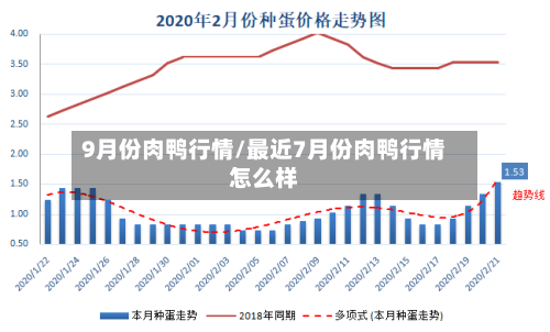 9月份肉鸭行情/最近7月份肉鸭行情怎么样