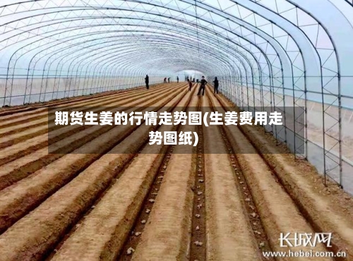 期货生姜的行情走势图(生姜费用走势图纸)-第2张图片