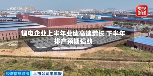 锂电企业上半年业绩高速增长 下半年排产预期强劲-第2张图片