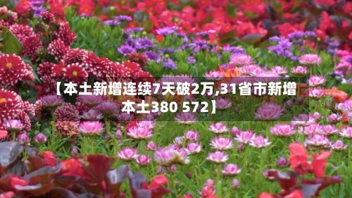 【本土新增连续7天破2万,31省市新增本土380 572】-第2张图片