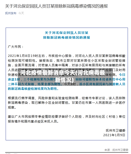 河北疫情最新消息今天(河北病毒最新情况)-第2张图片