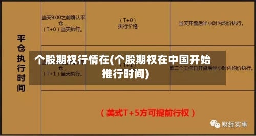 个股期权行情在(个股期权在中国开始推行时间)-第3张图片