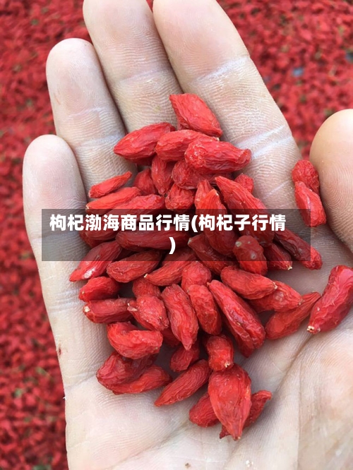 枸杞渤海商品行情(枸杞子行情)