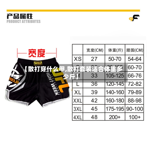 【散打穿什么甲,散打套装适合体重多少斤】-第3张图片