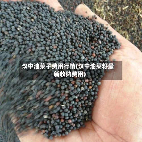 汉中油菜子费用行情(汉中油菜籽最新收购费用)-第2张图片