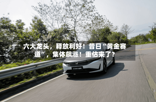 六大龙头，释放利好！昔日“黄金赛道”，集体飙涨！重估来了？