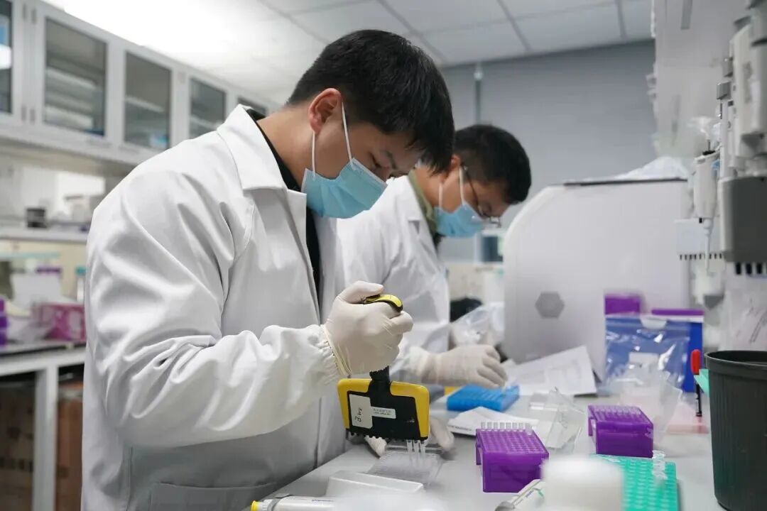 猴子价格涨疯了，20万一只还抢不到？可是峨眉山上不是超级多吗？